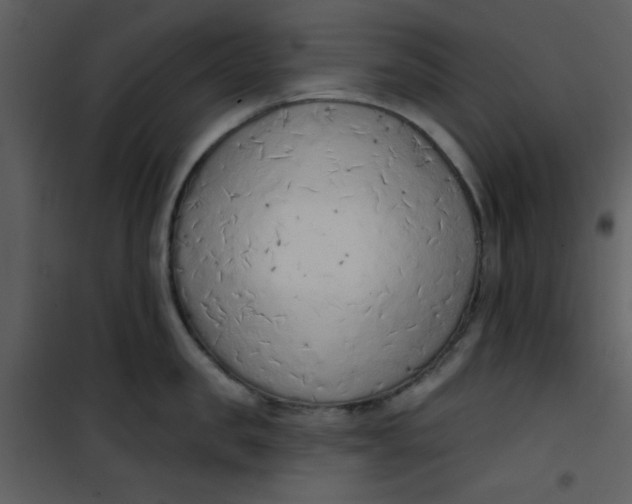 X0000101150957200807181331