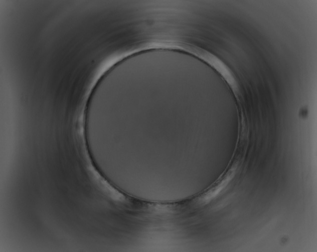 X0000101150958200807181331