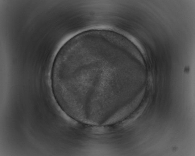 X0000101150959200807181331