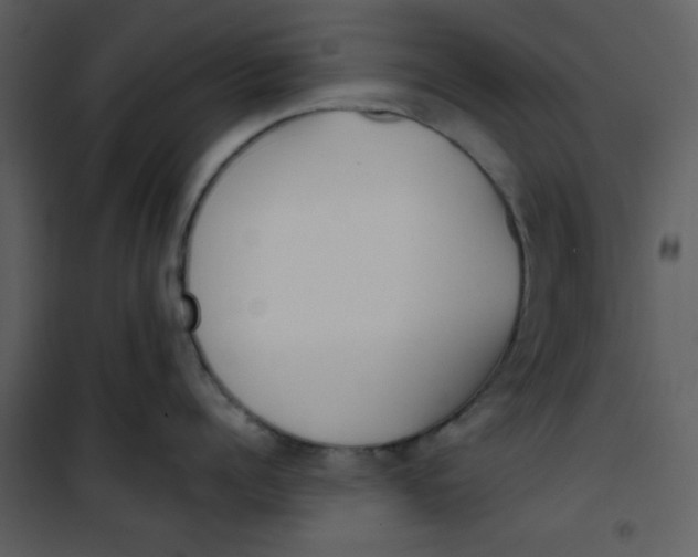 X0000101150960200807181331