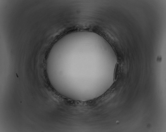 X0000101150961200807181330