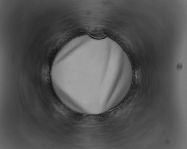 X0000101150963200807181330