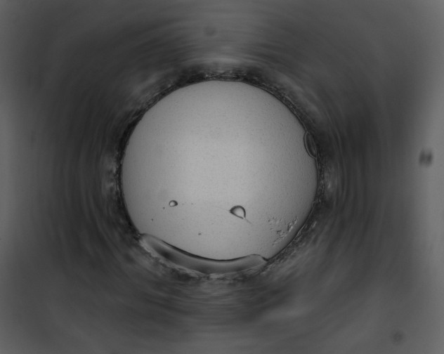 X0000101150964200807181330