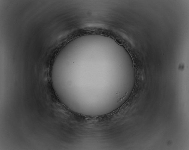 X0000101150965200807181330