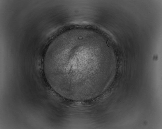 X0000101150966200807181330