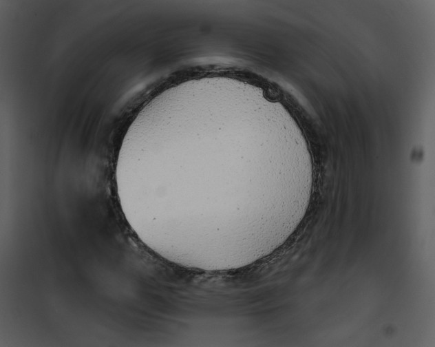 X0000101150967200807181330