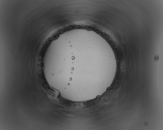 X0000101150968200807181330