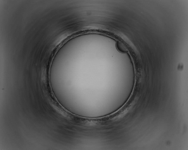 X0000101150969200807181330