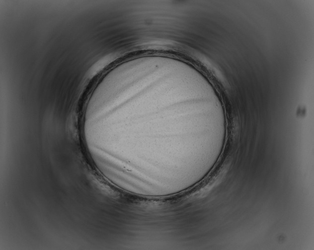 X0000101150970200807181330