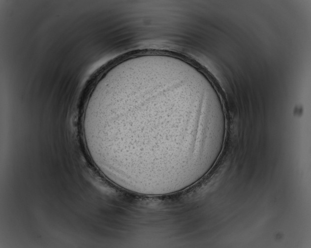 X0000101150971200807181330