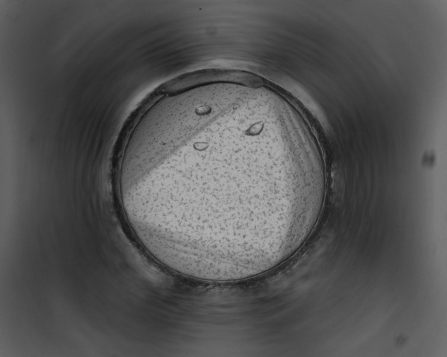 X0000101150972200807181330