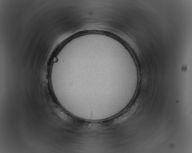 X0000101150974200807181330