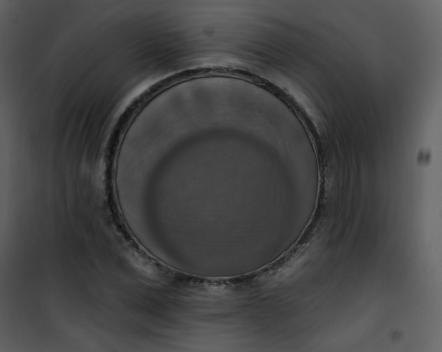 X0000101150975200807181330