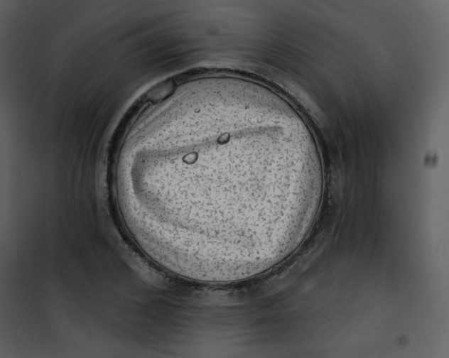 X0000101150976200807181330