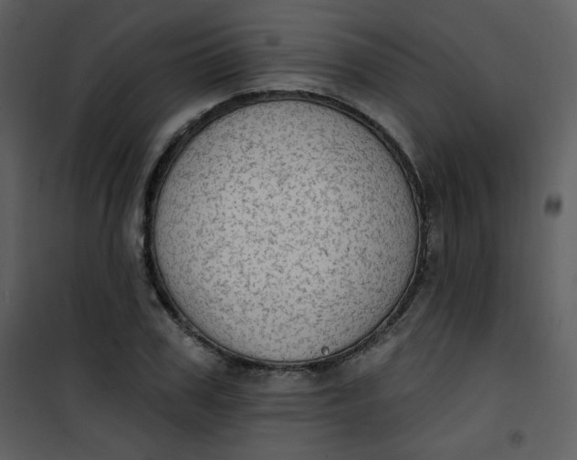 X0000101150979200807181330