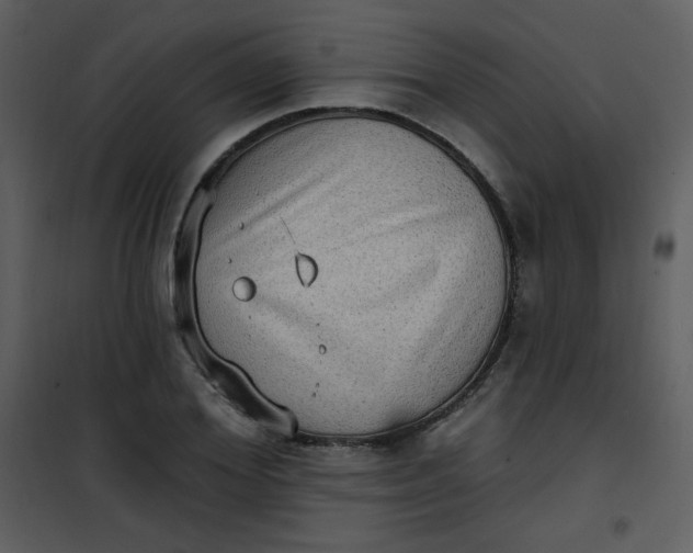 X0000101150980200807181330