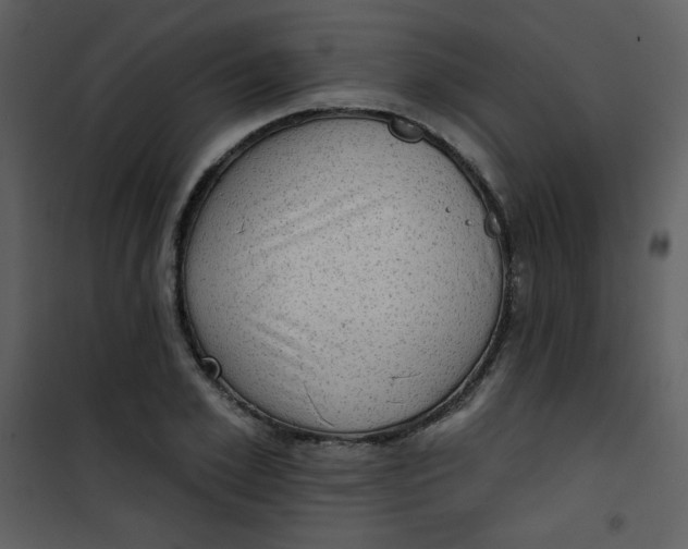 X0000101150981200807181330