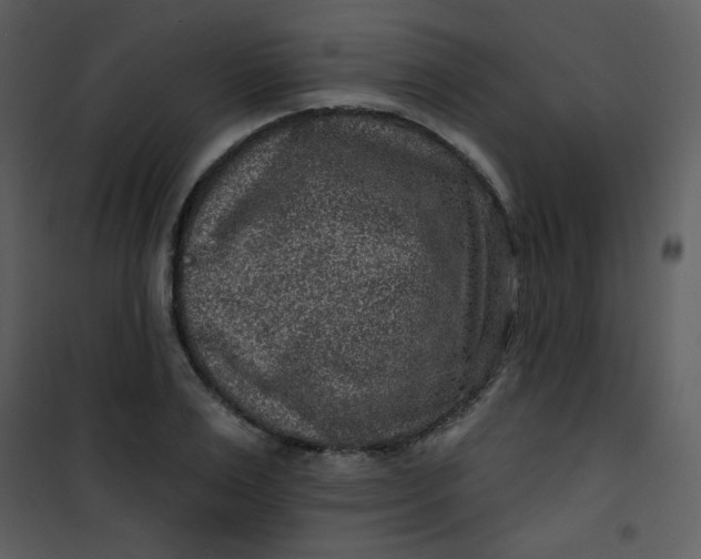 X0000101150983200807181330