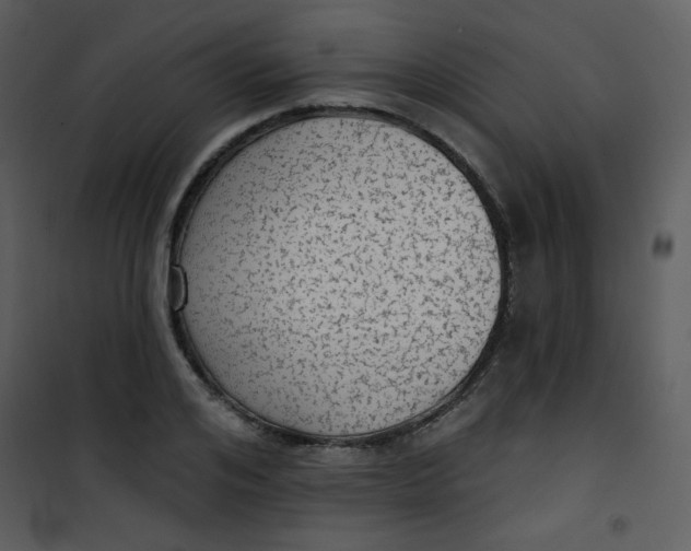 X0000101150984200807181329