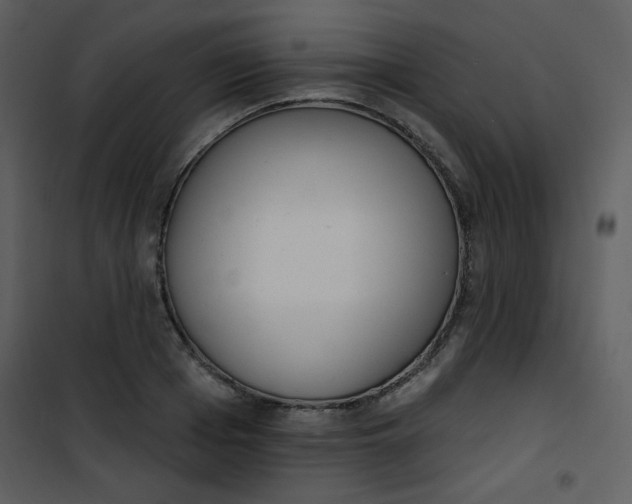 X0000101150985200807181329