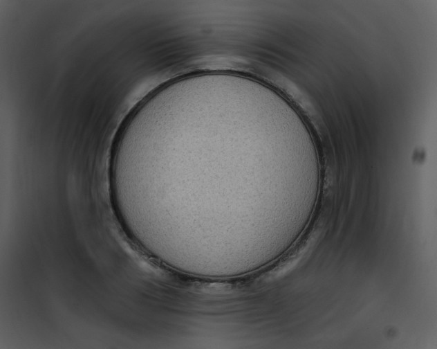 X0000101150986200807181329