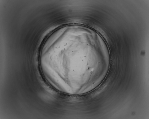 X0000101150987200807181329