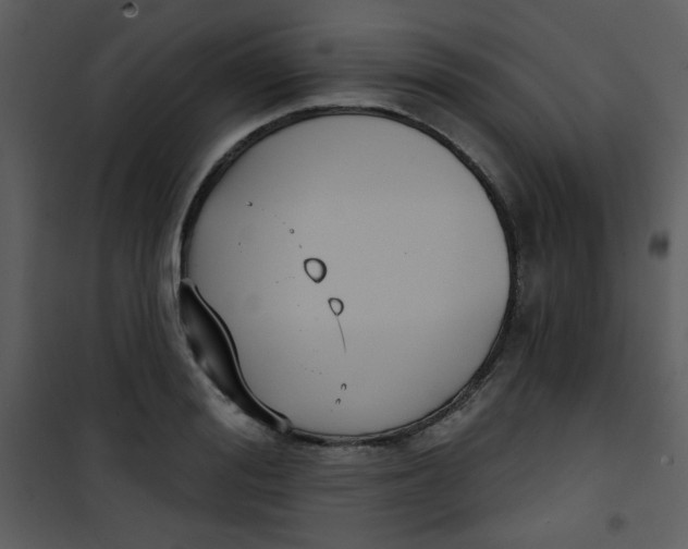 X0000101150988200807181329