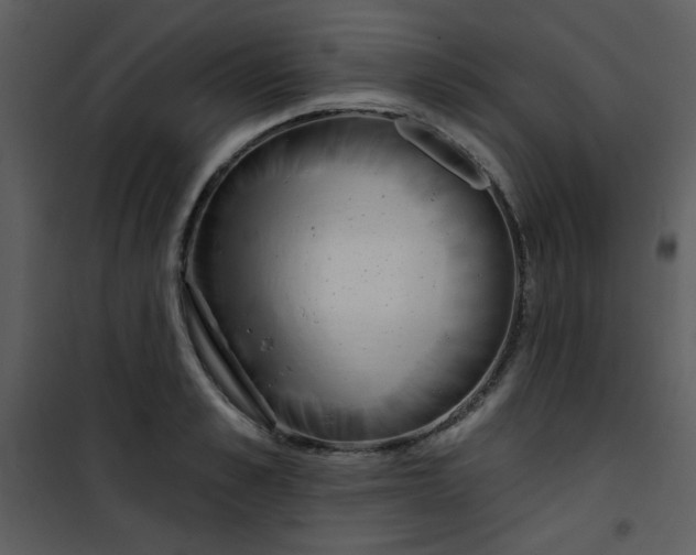 X0000101150989200807181329