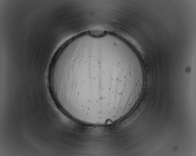 X0000101150991200807181329