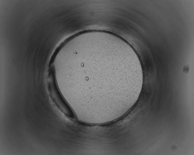 X0000101150992200807181329