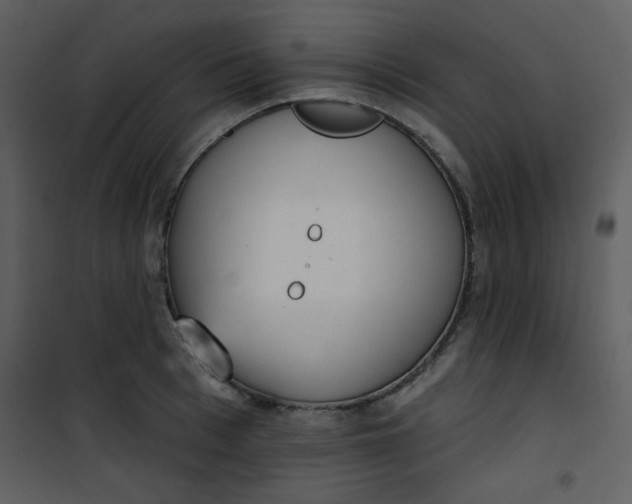 X0000101150993200807181329