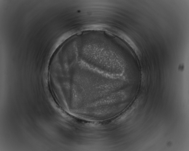 X0000101150994200807181329