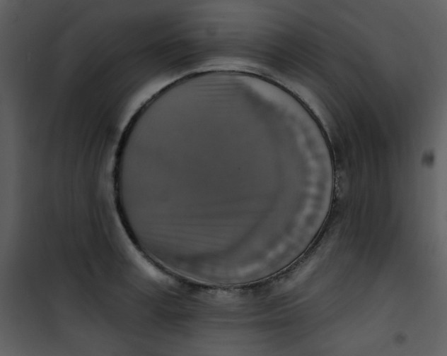 X0000101150995200807181329