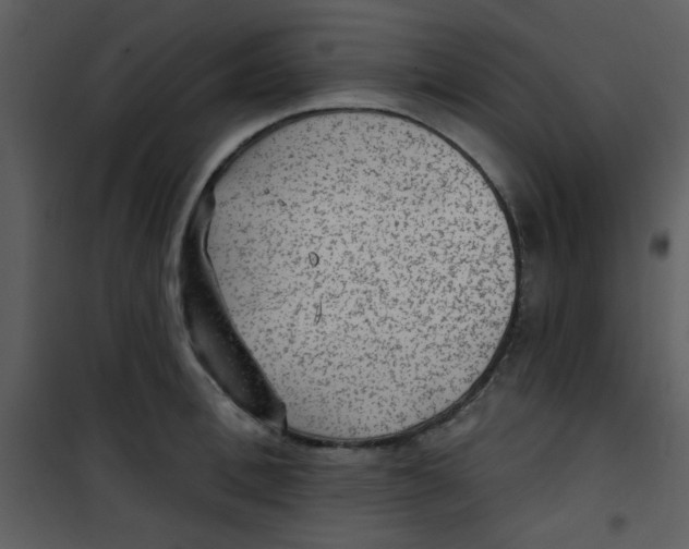 X0000101150996200807181329