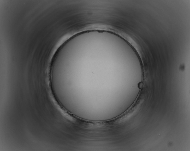 X0000101150997200807181329