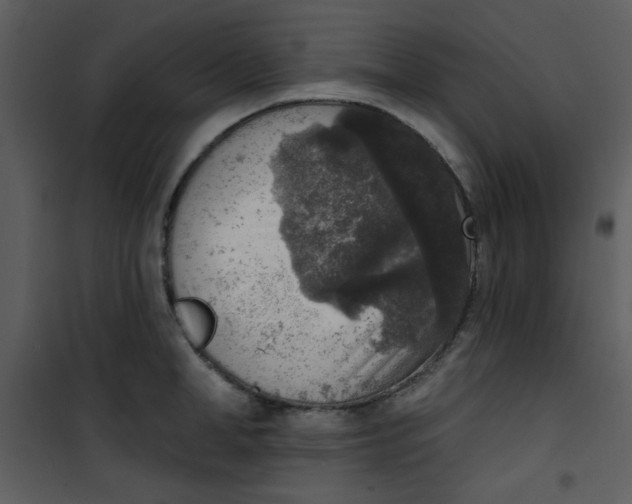 X0000101150998200807181329