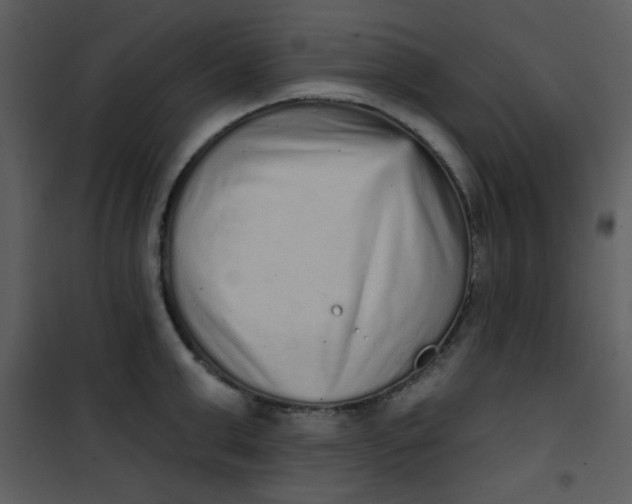 X0000101150999200807181329