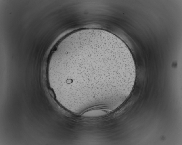 X0000101151000200807181329