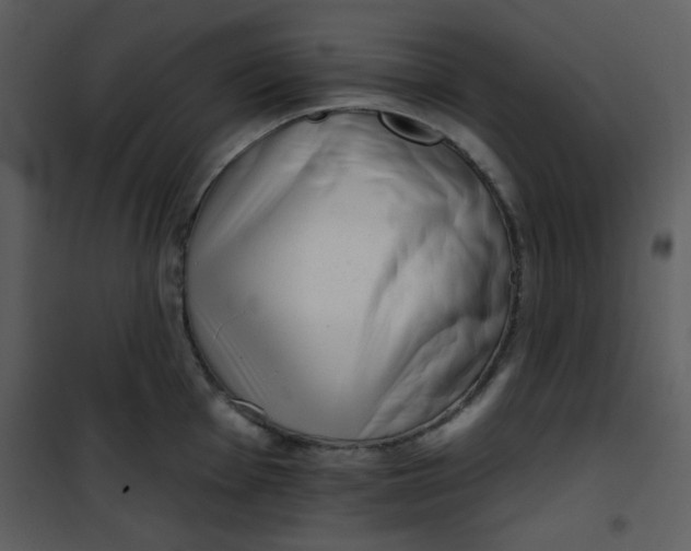 X0000101151001200807181329