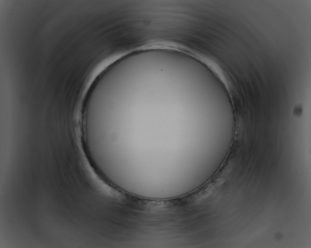 X0000101151003200807181329