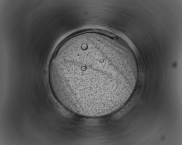 X0000101151004200807181329