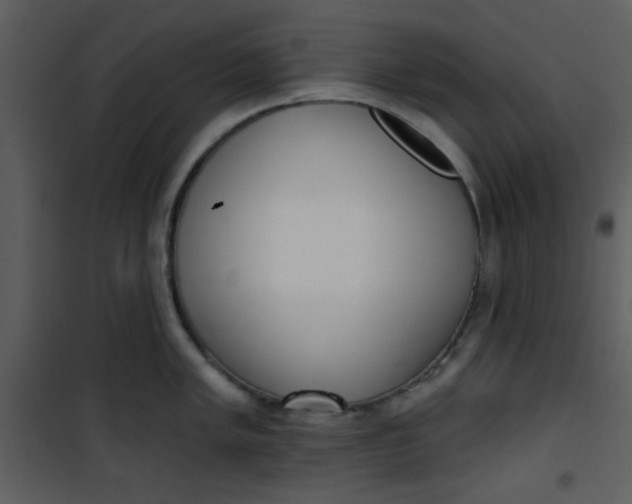 X0000101151005200807181329