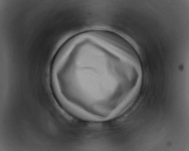 X0000101151006200807181329