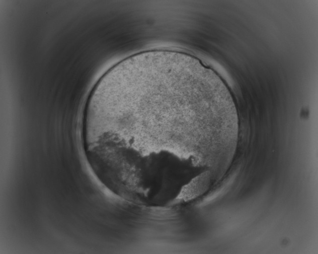 X0000101151007200807181329