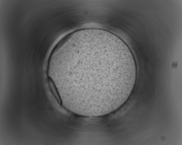 X0000101151008200807181329