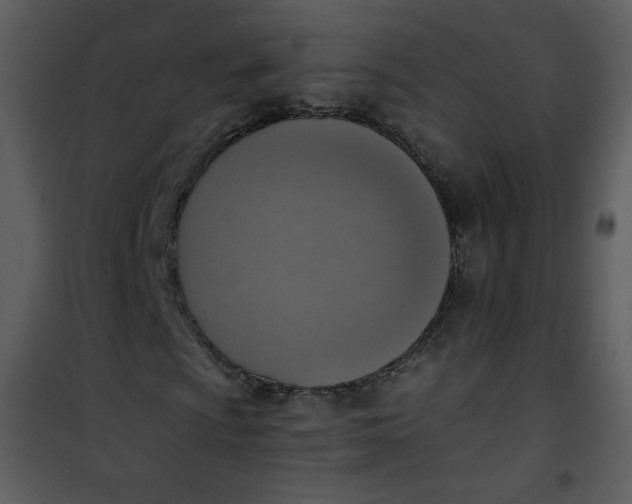 X0000101151009200807181328