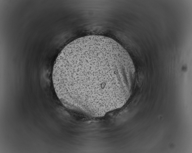 X0000101151010200807181328