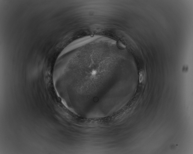 X0000101151011200807181329