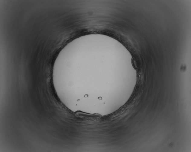 X0000101151012200807181329