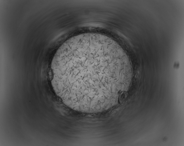 X0000101151014200807181329